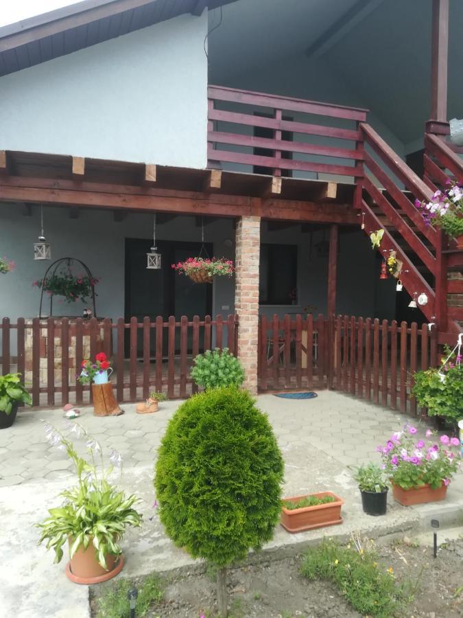Villa Casa Ricciotti Tritenii de Jos Exterior foto