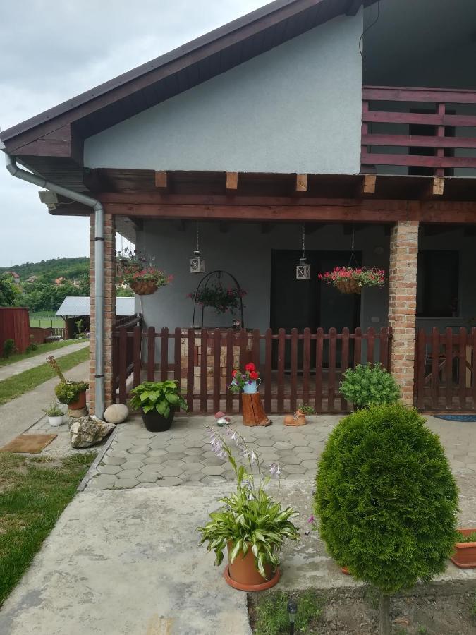 Villa Casa Ricciotti Tritenii de Jos Exterior foto